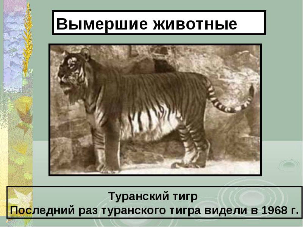 Красивые вымершие животные