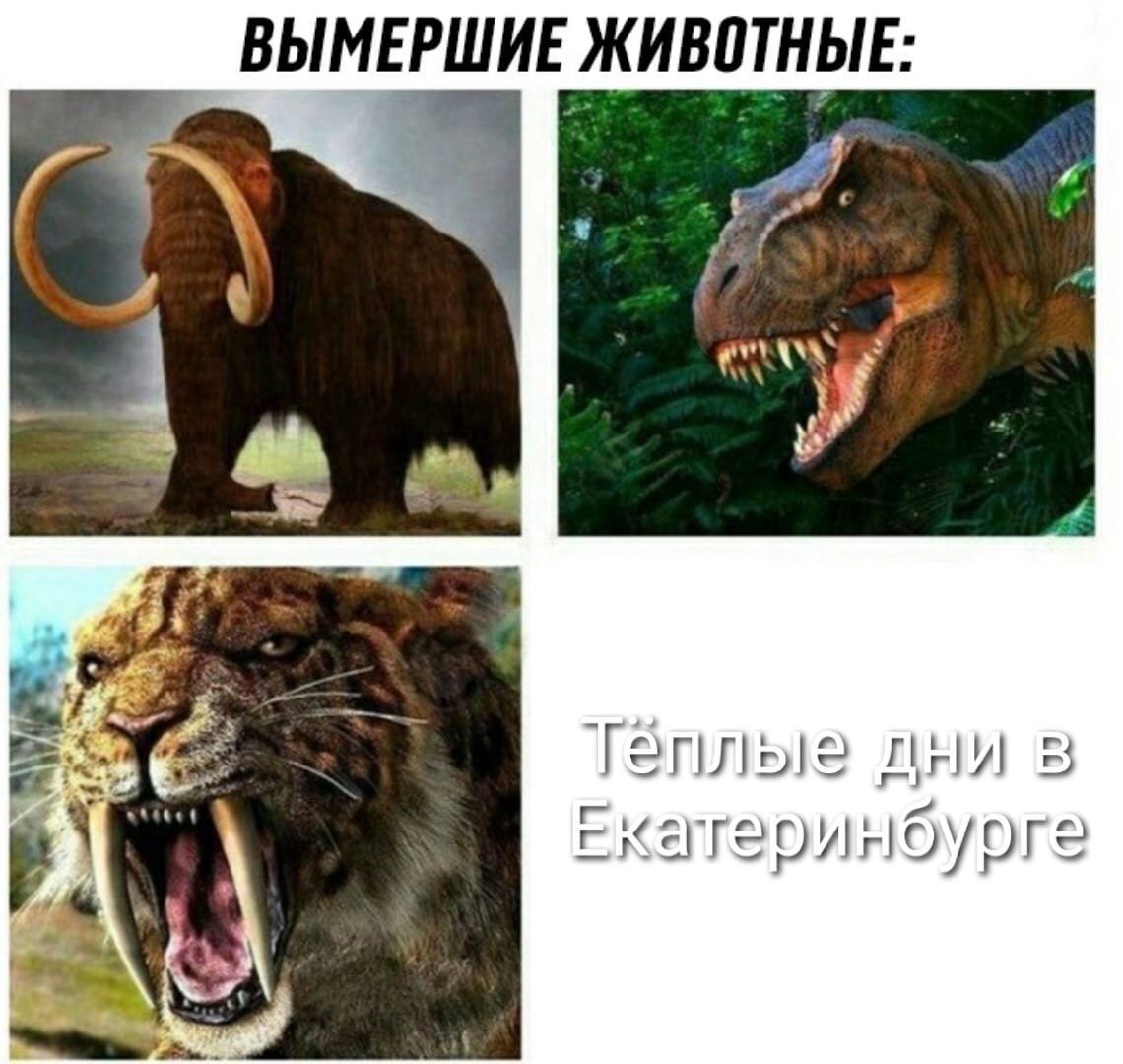 Животный мир планеты