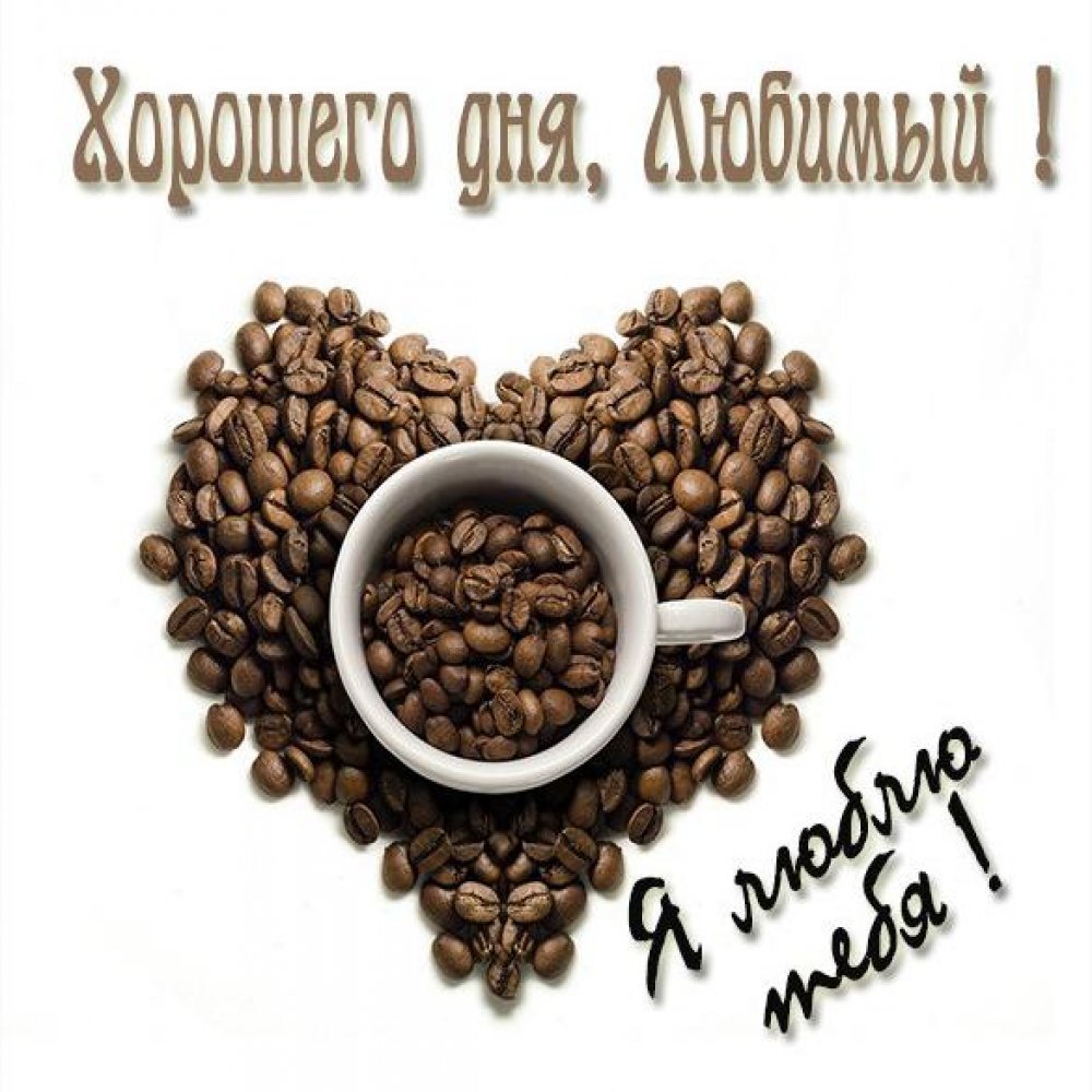 Хорошего дня любимый