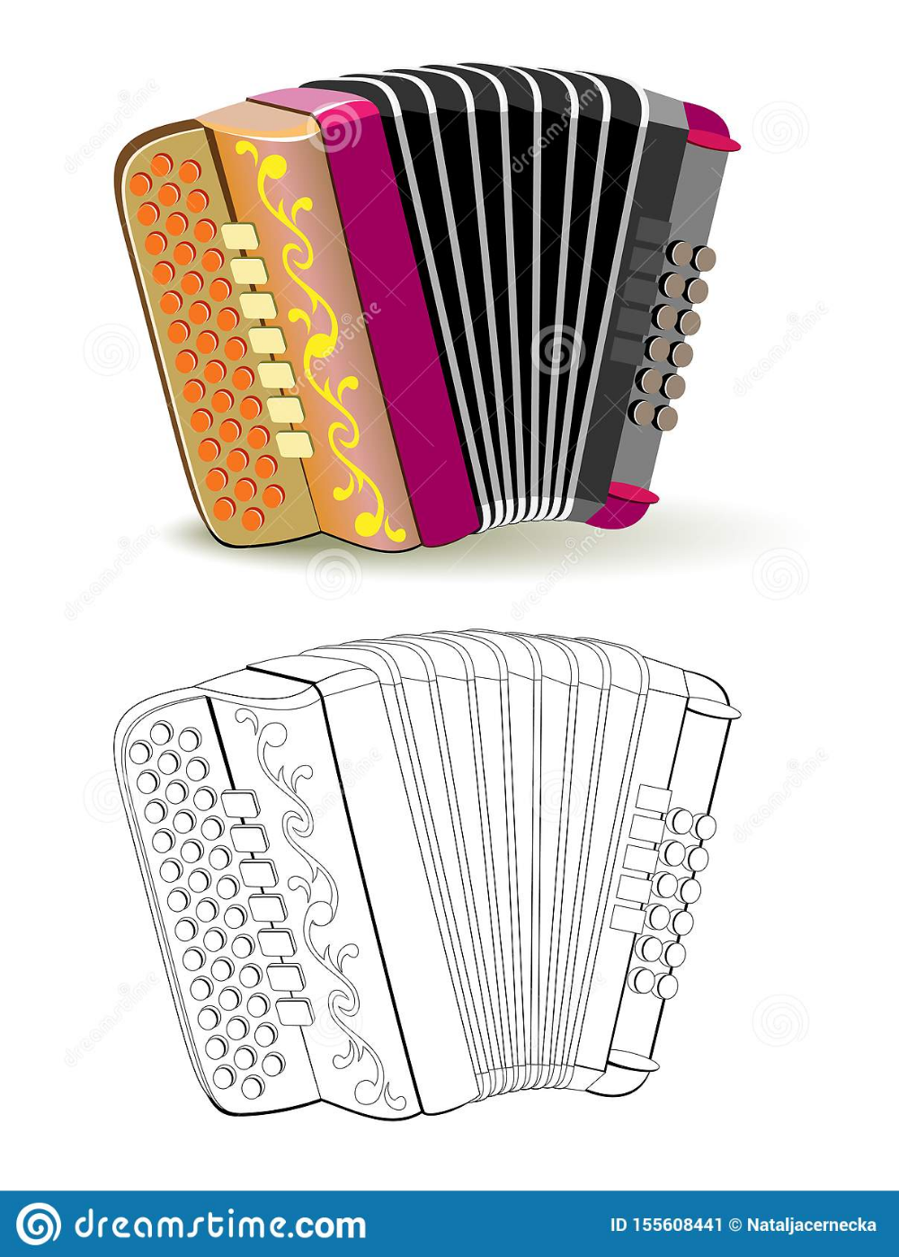 Баян раскраска