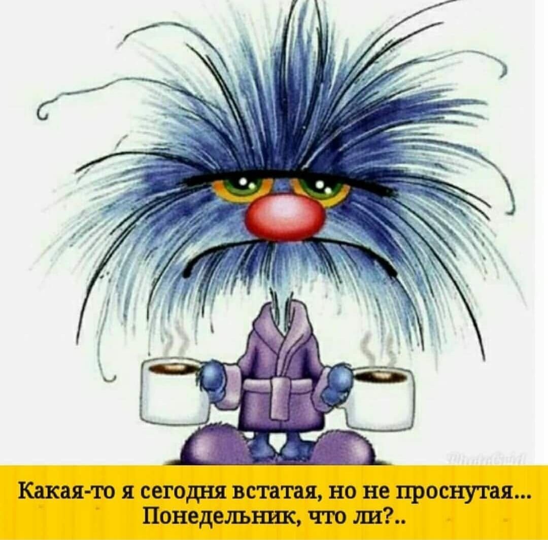 Котик пьет кофе