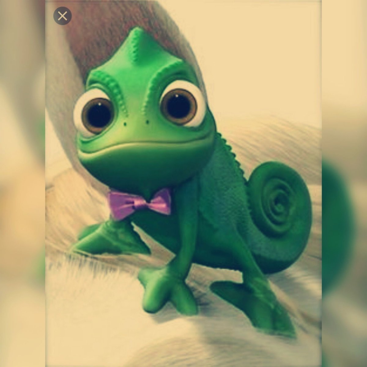 Хамелеон Рапунцель