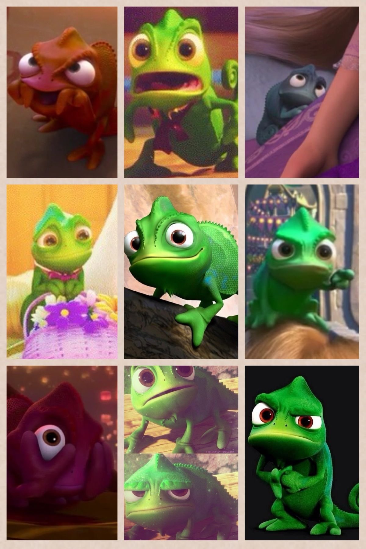 Питомец Рапунцель хамелеон