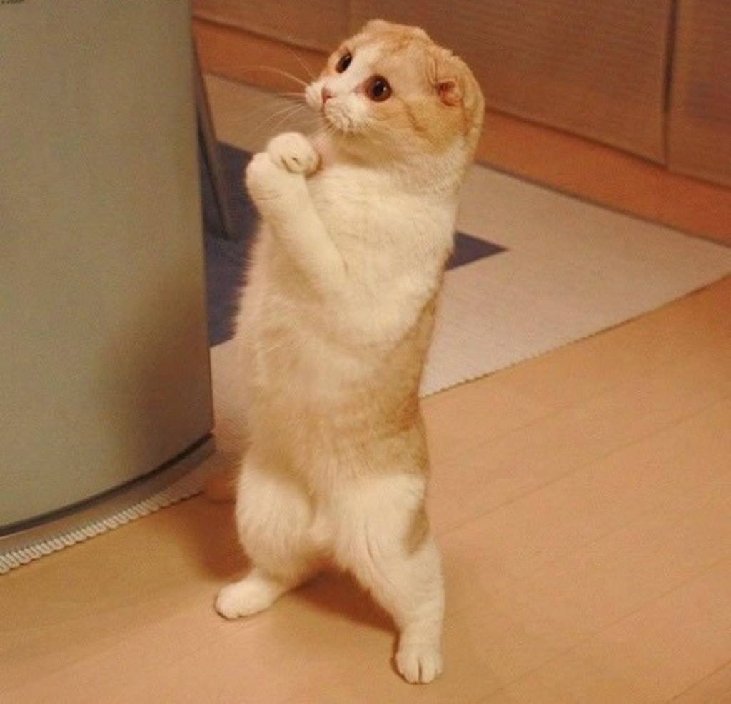 Пожелания крепкого здоровья