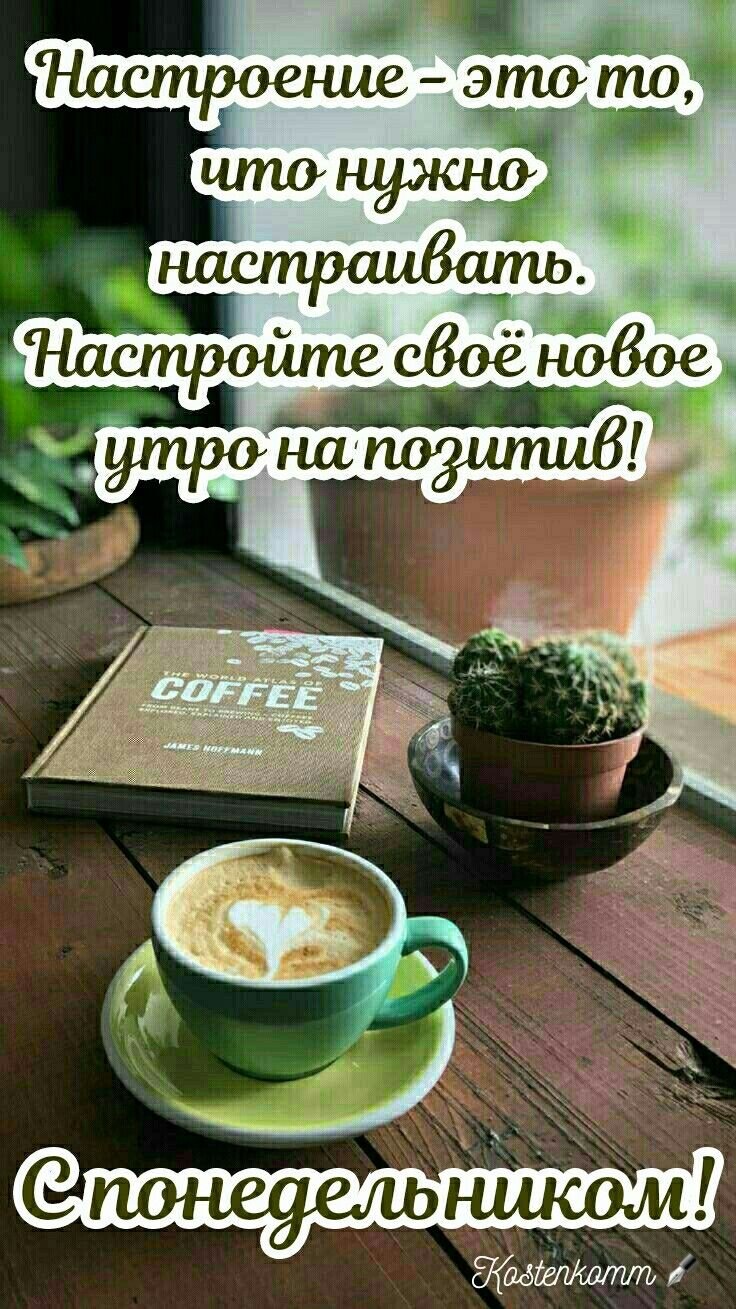 Утренние цитаты