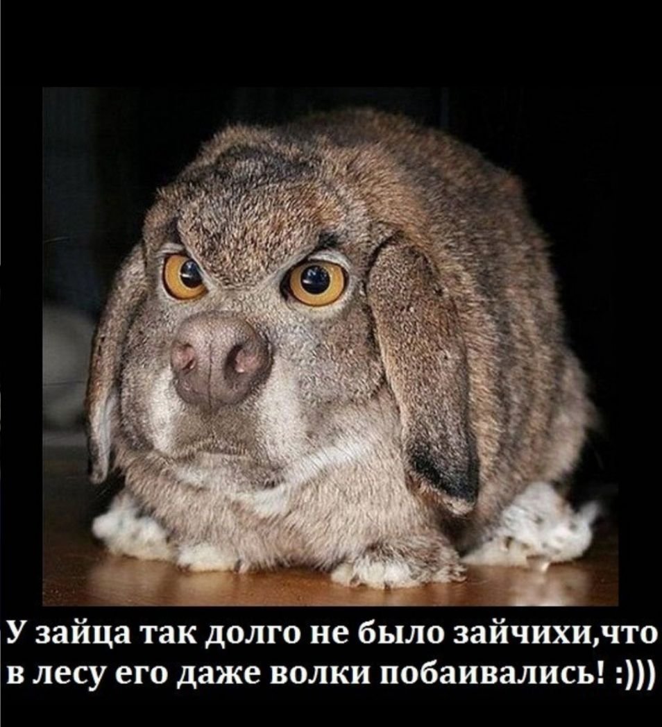 Открытка не сердись на меня мой хороший