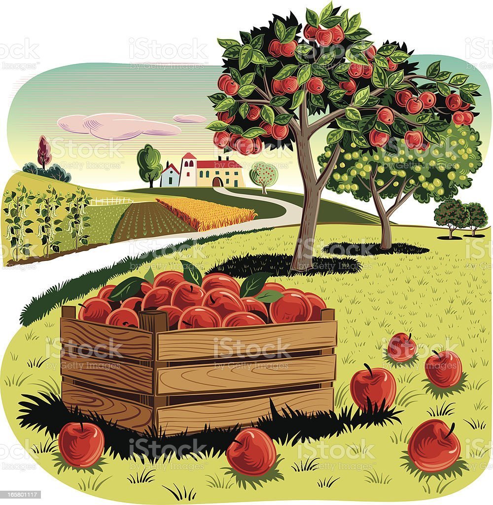 Огород с овощами для детей