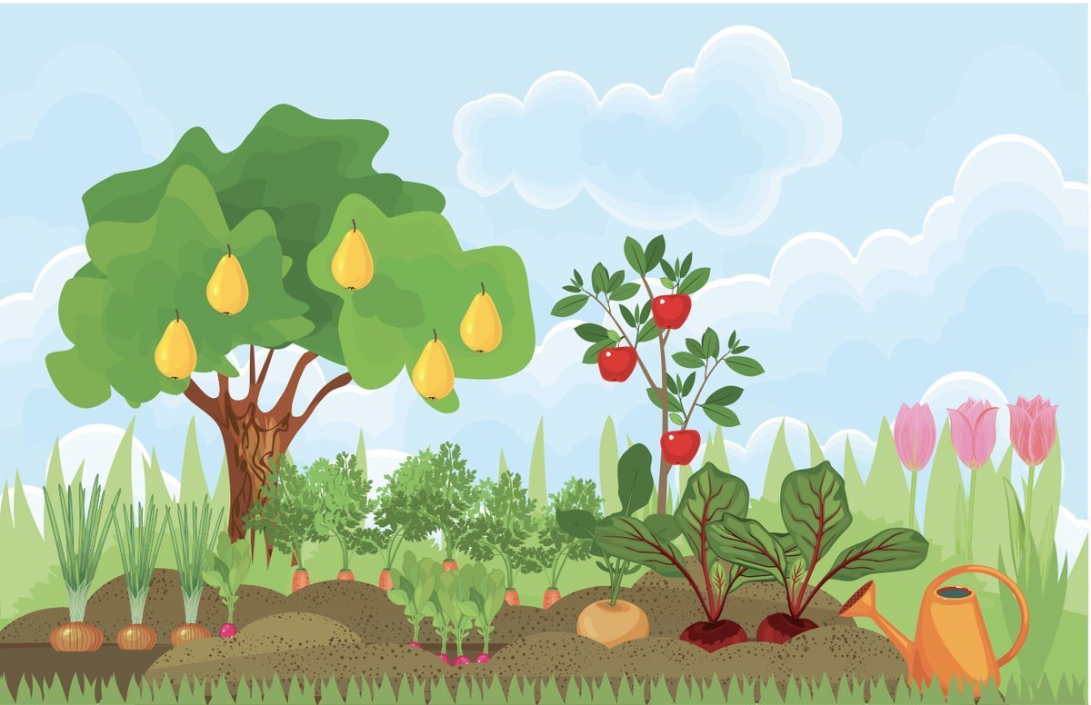 Сад с фруктовыми деревьями для детей