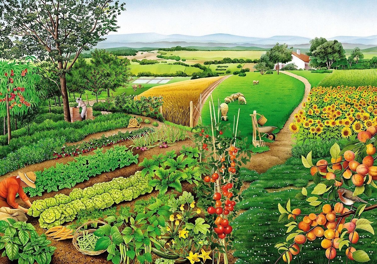 Дерево яблоня пластилиновые заплатки