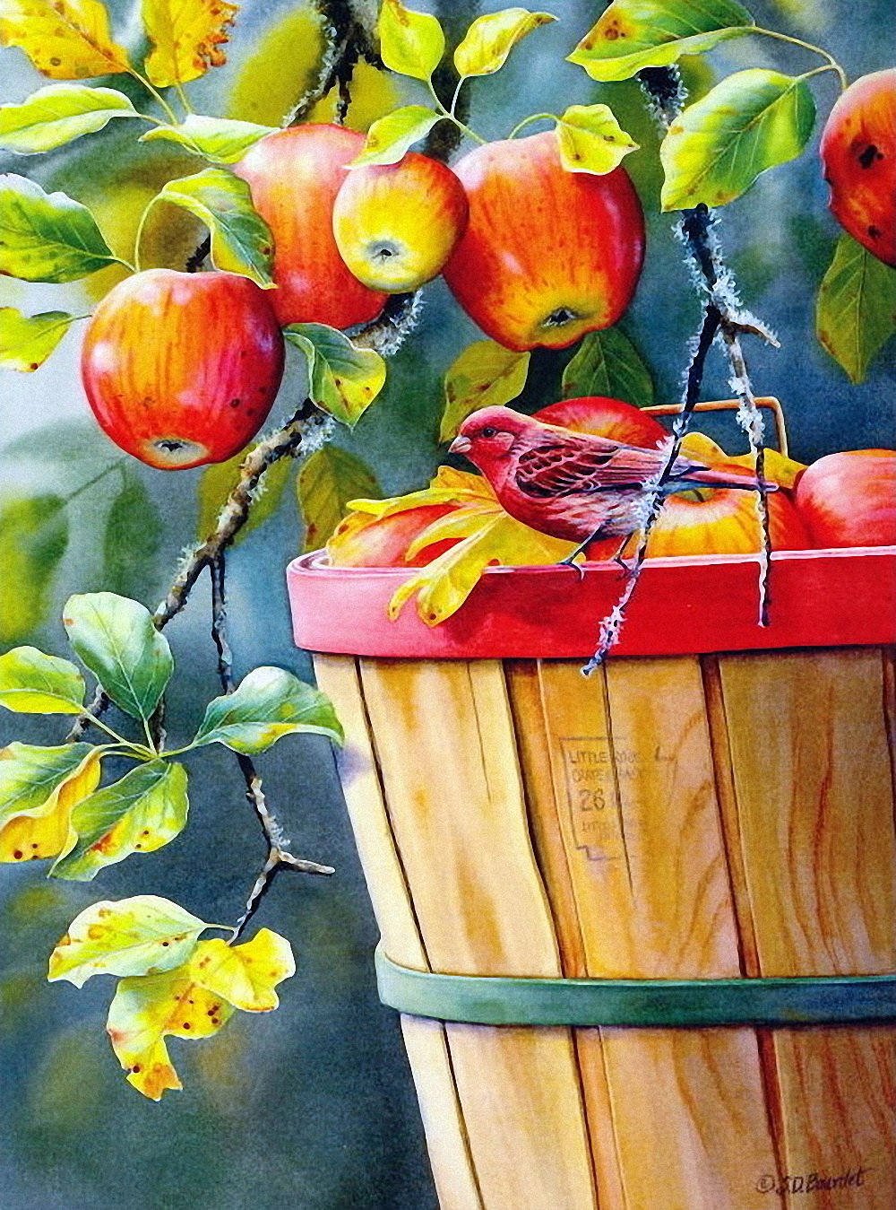 Фруктовые деревья детский сад