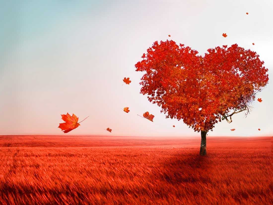 Скучаю по тебе любимая