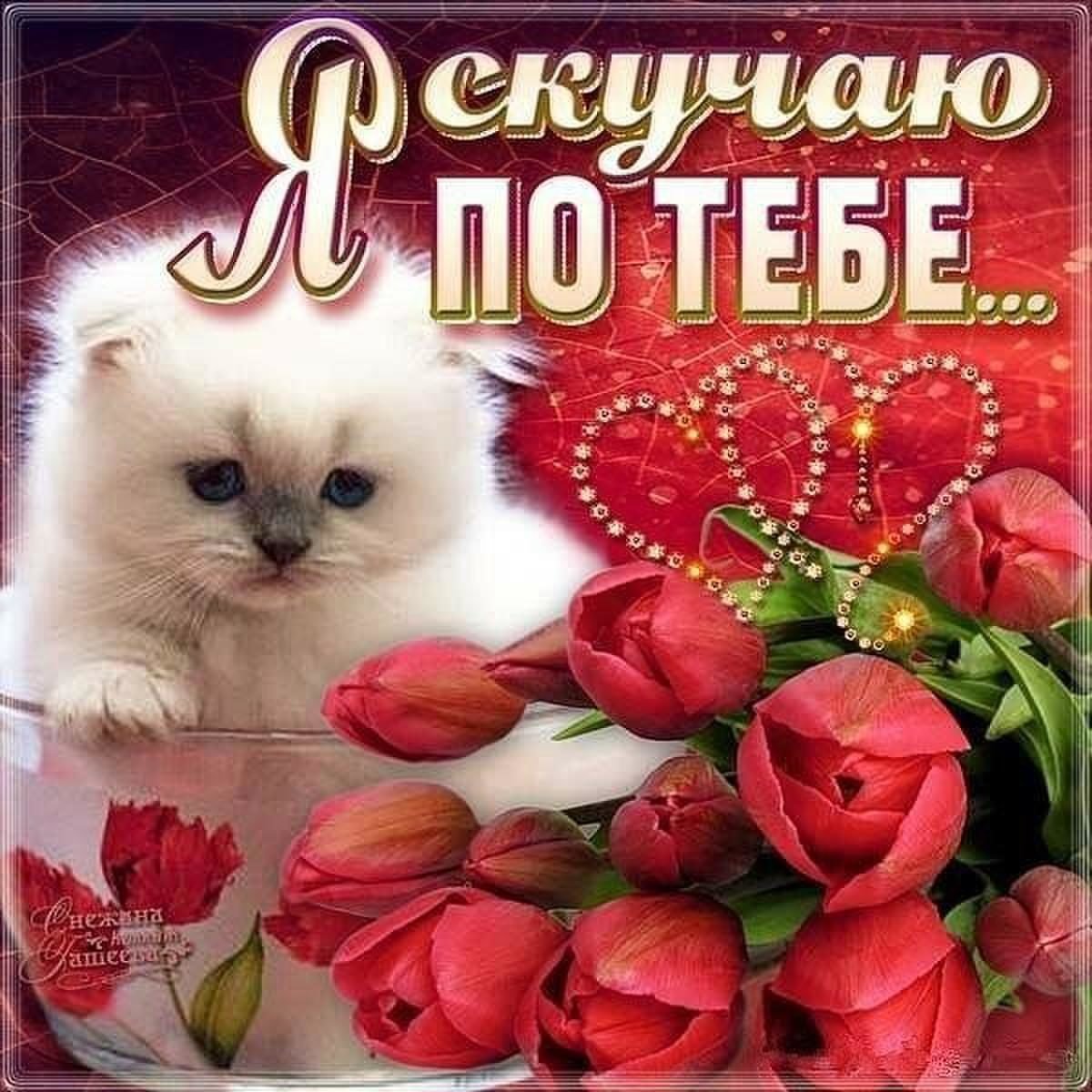 Открытка любимой девушке