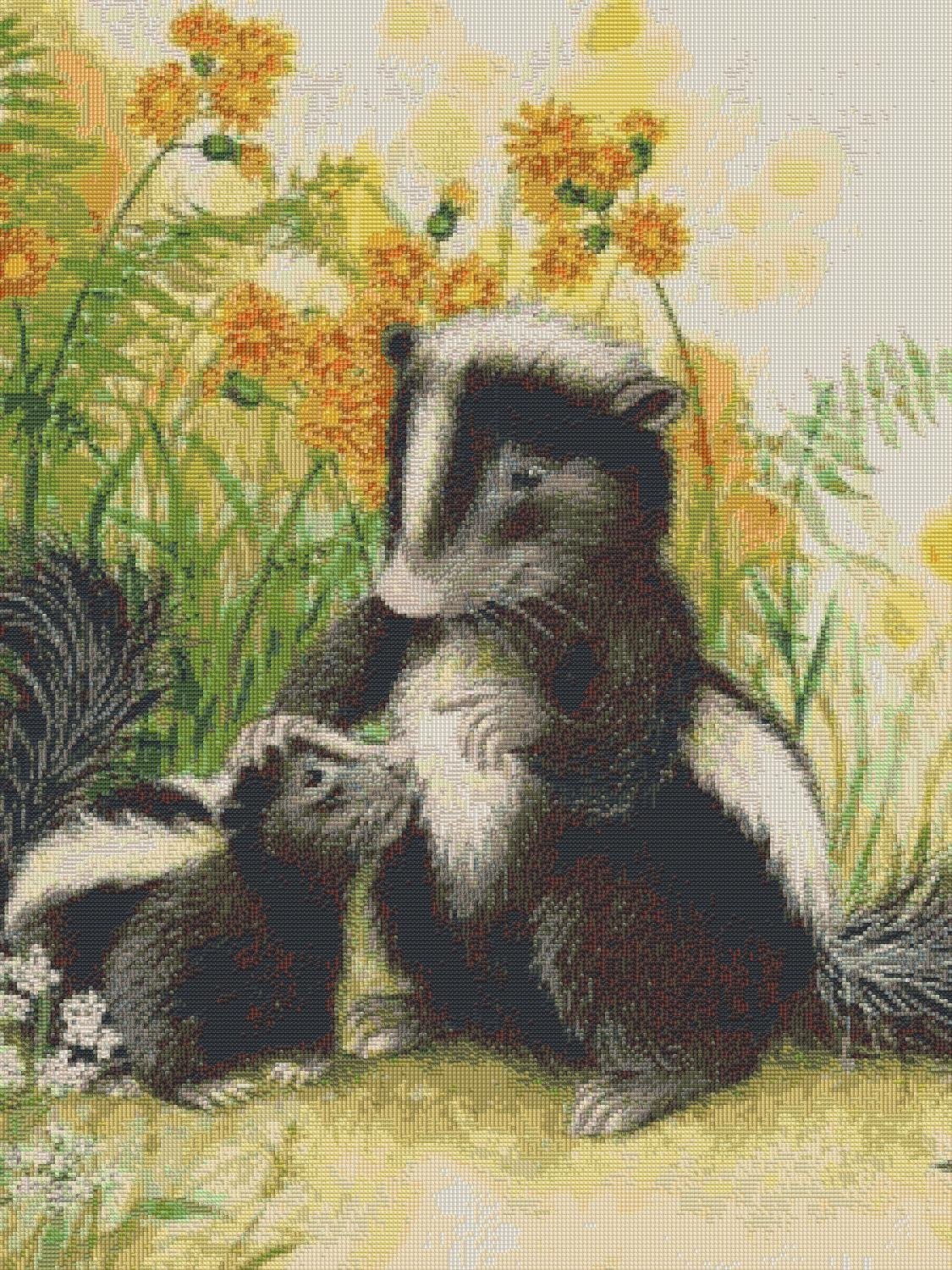 Восточномексиканский скунс