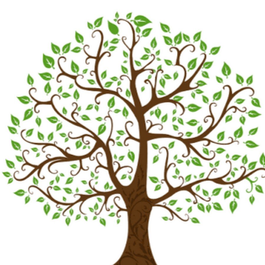 Генеалогическое дерево ствол