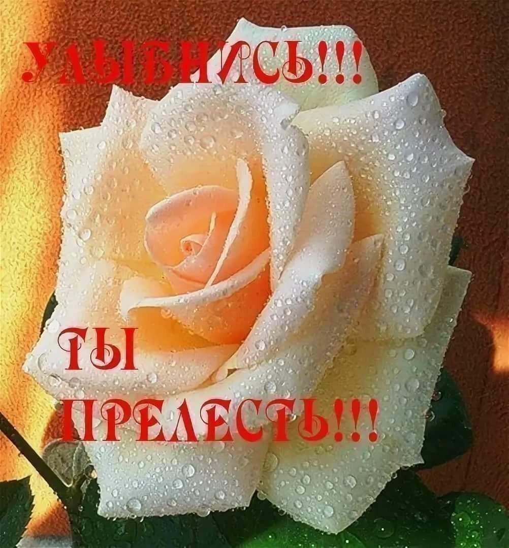 С добрым утром в день рождения