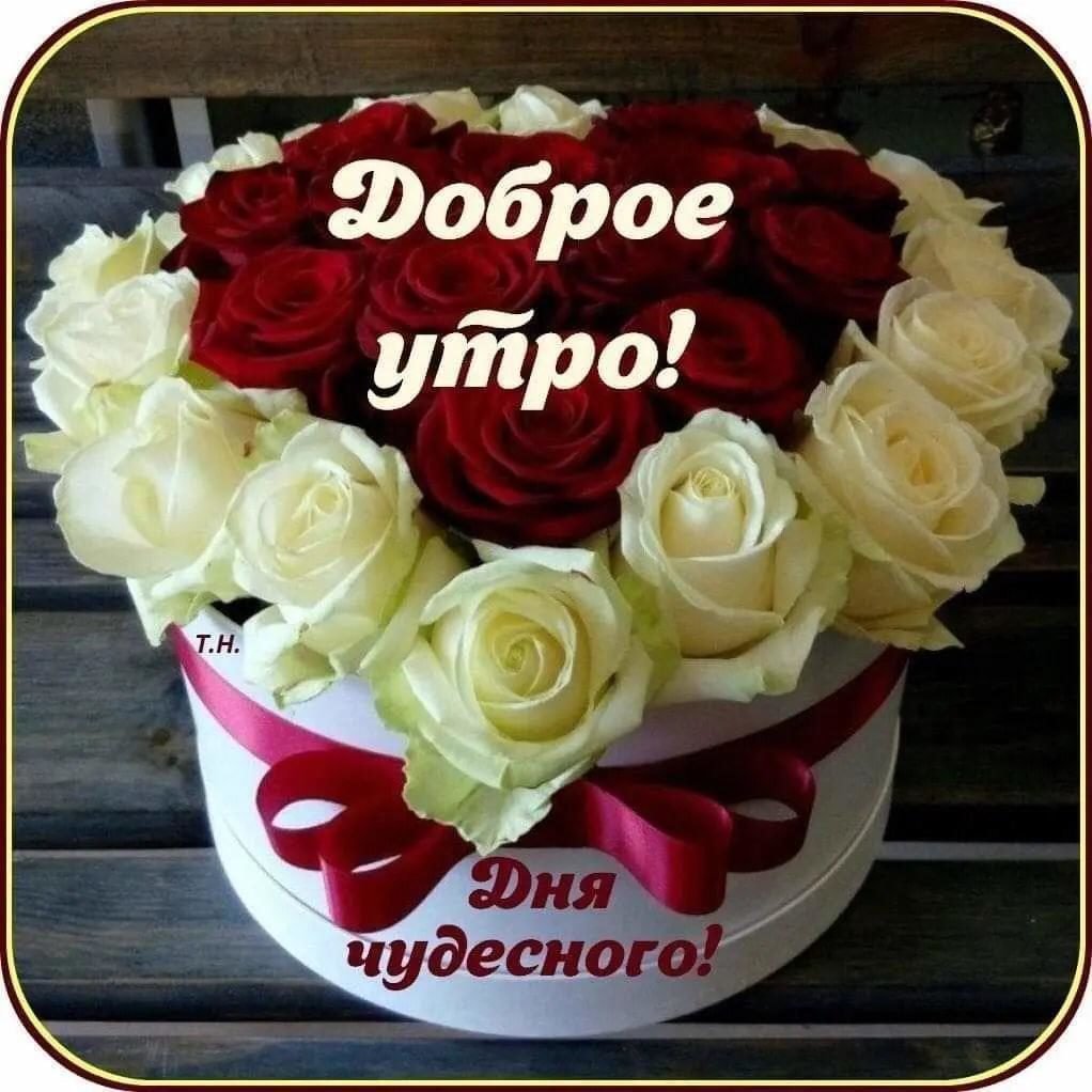 Смешная принцесса