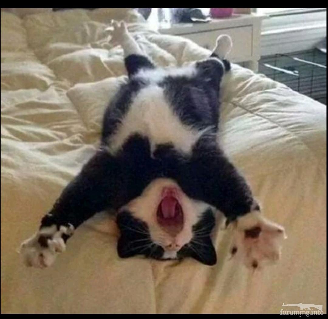 Никогда не завидуйте