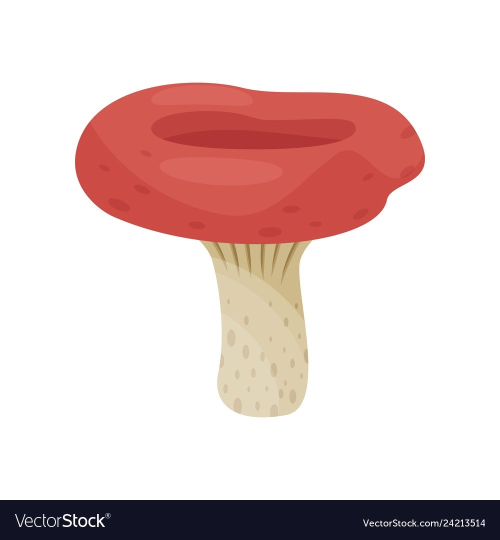 Картина для детей сыроежка