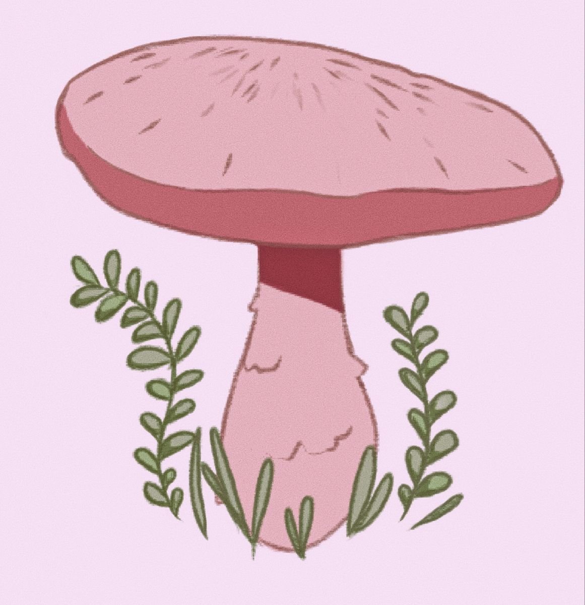 Розовый гриб рисунок