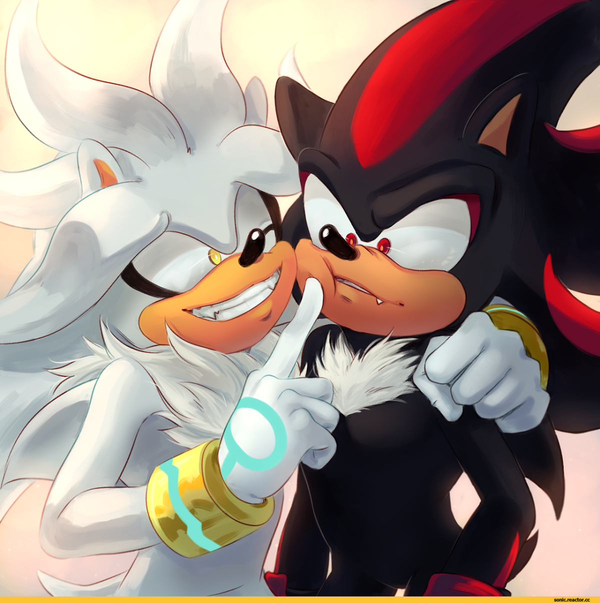 Ёж Соник и ёж Сильвер