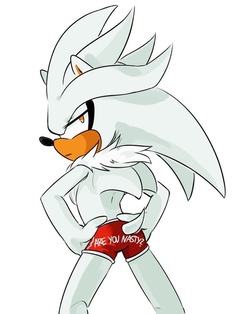 Ёж Сильвер грустный