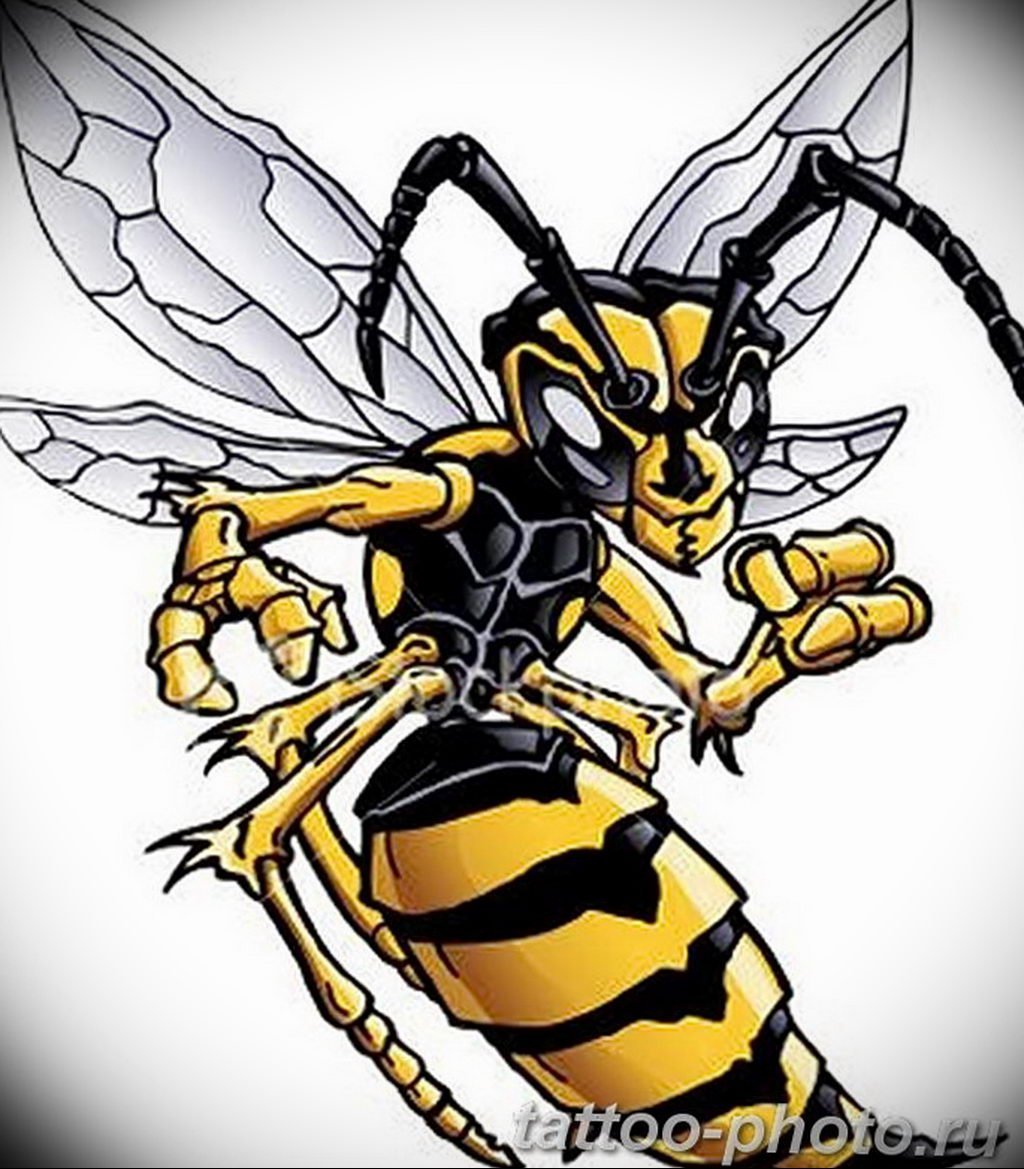 Оса рисунок в цвете