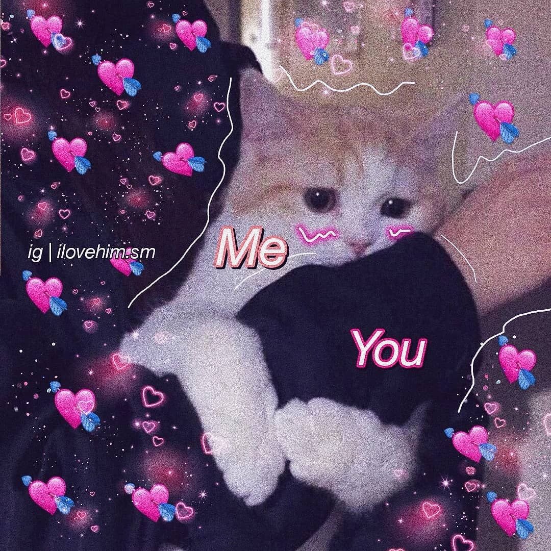 Милые котики с сердечками и надписями