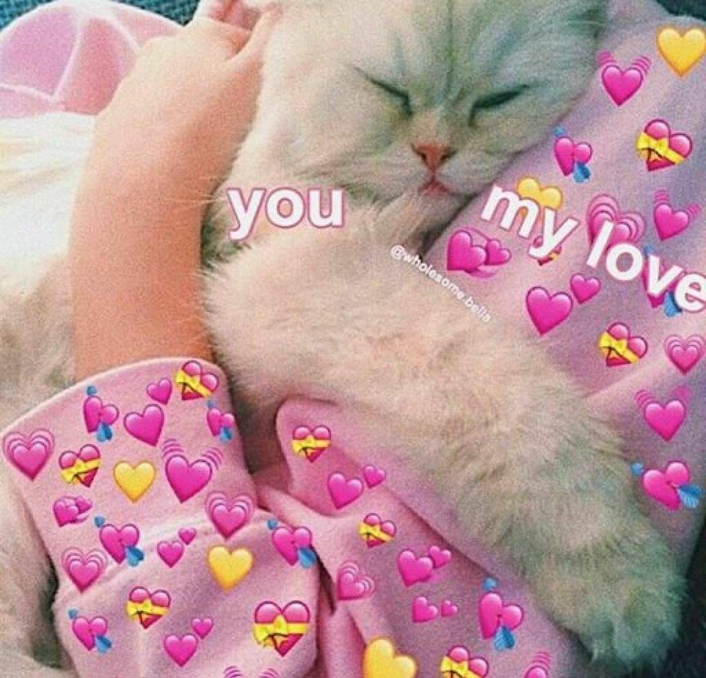 Любовный Кусь