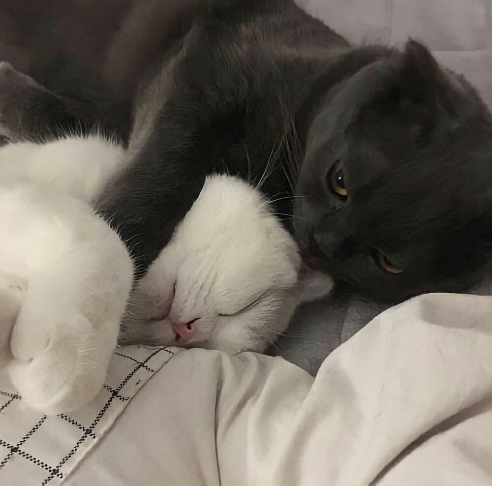 Милые картиночки