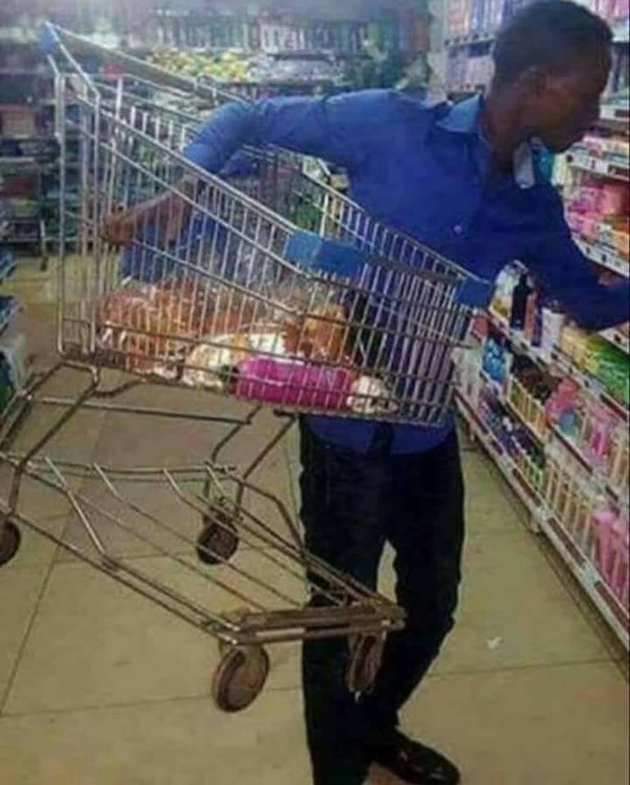 Телега картинка