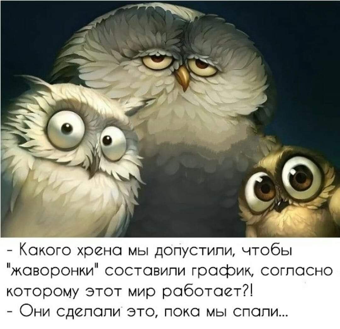 Смешная Сова арт