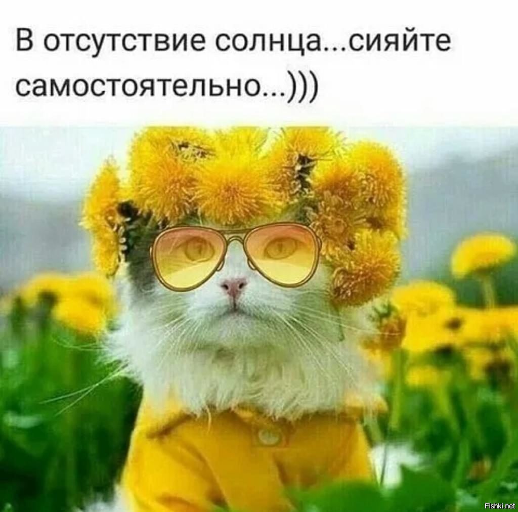 Собака улыбается