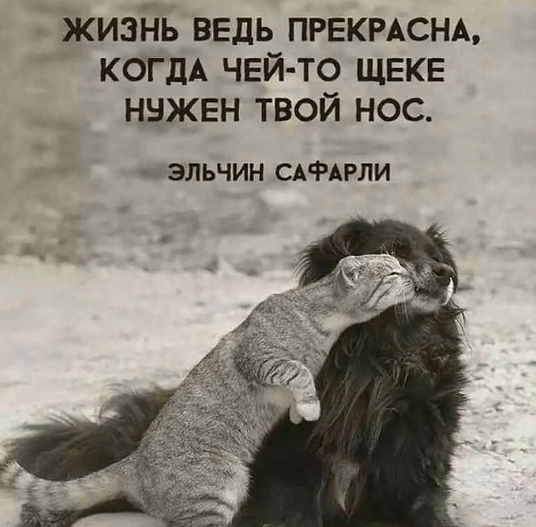 Позитивного дня и хорошего настроения