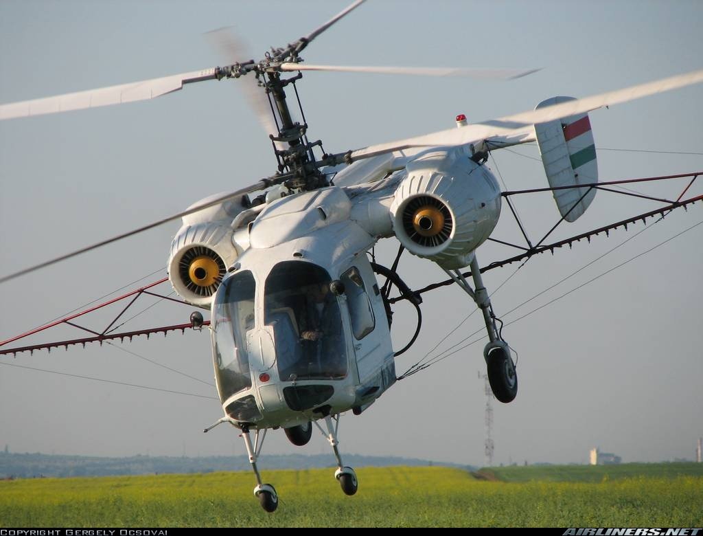 Стрекоза вектор контур