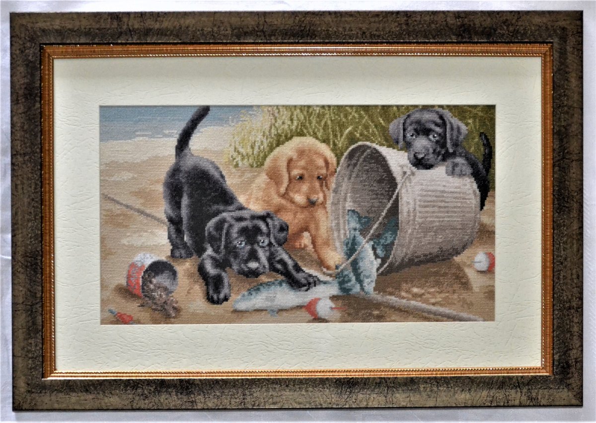 Золотое Руно веселая игра