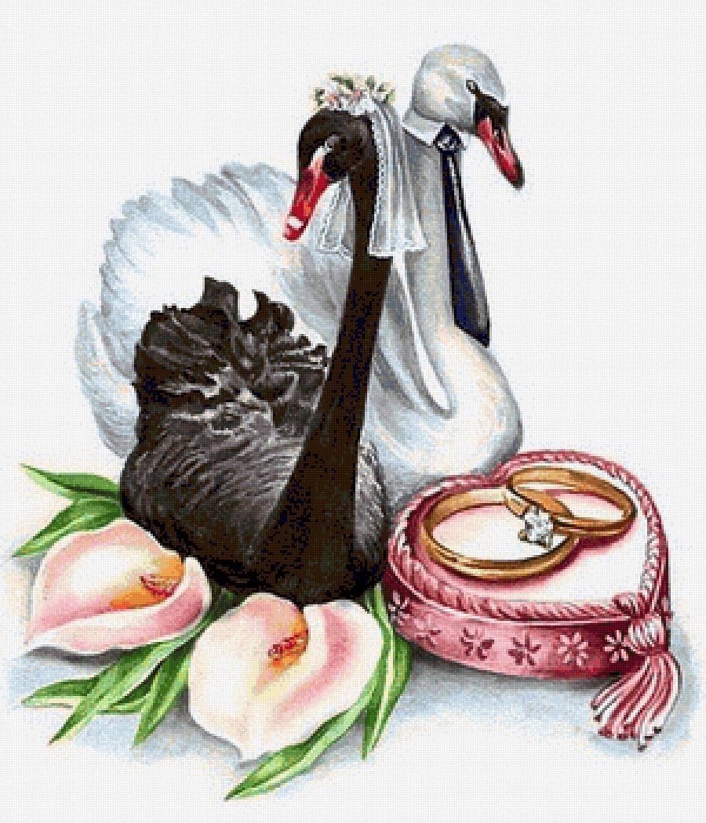 20 Лет свадьбы поздравления