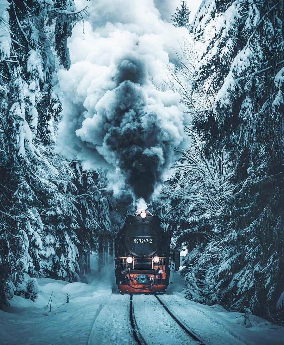 Паровоз в лесу