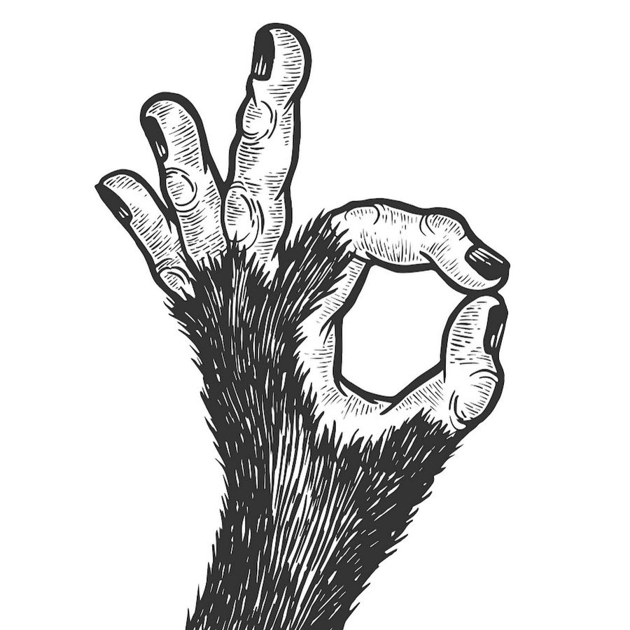 Эффект обезьяньей лапы