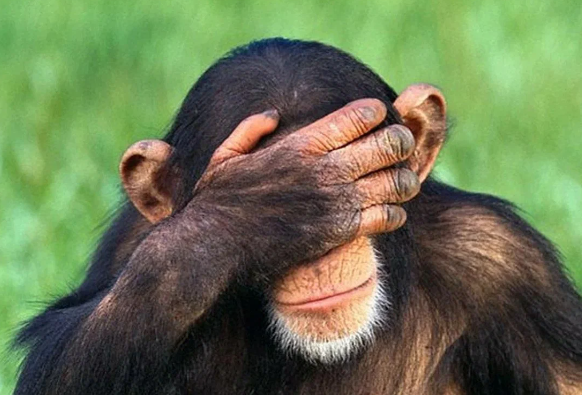 Ногти обезьяны