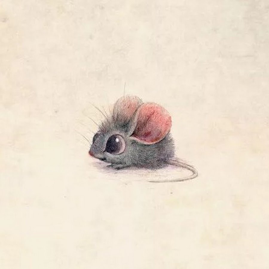 Мышонок выглядывает