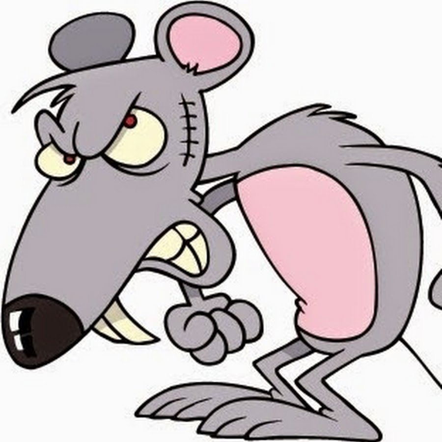 Милая маленькая смешная мышь