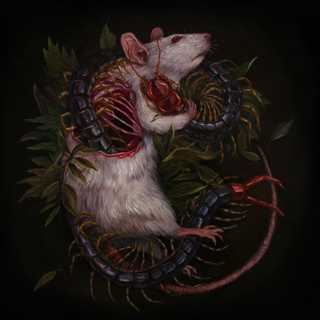 Нигас эфио Блэки гат стефио