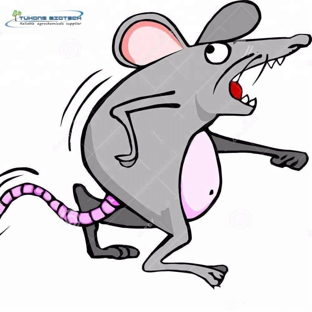 Крыса аватар