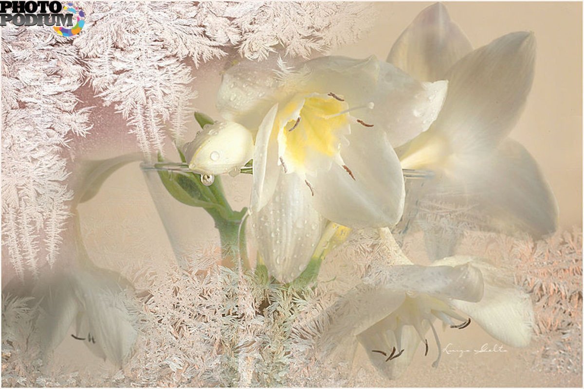 Поздравление с первым днем весны