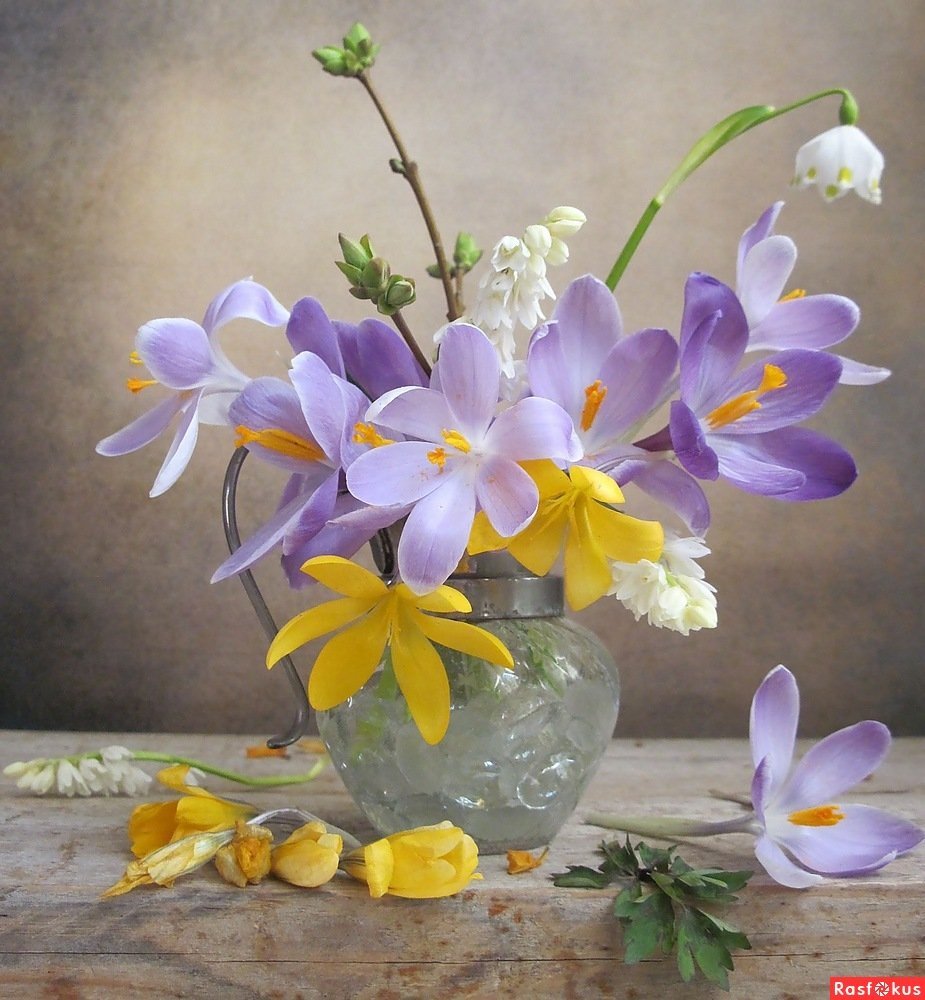 Зимние Фотонатюрморты Луизы Гельтс