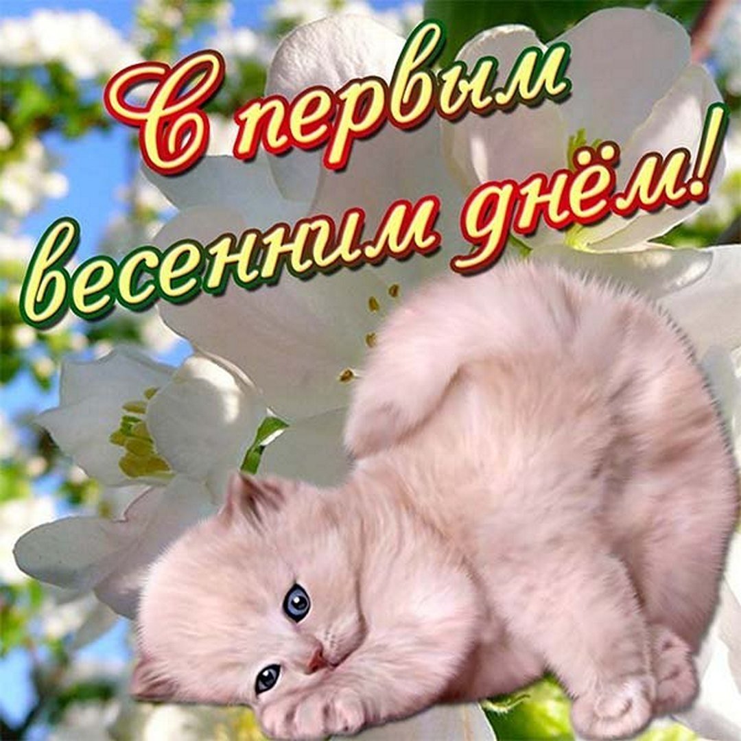 Весенние цветы фото