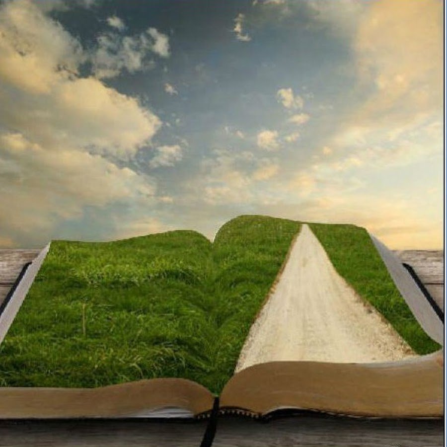 Уроки жизни