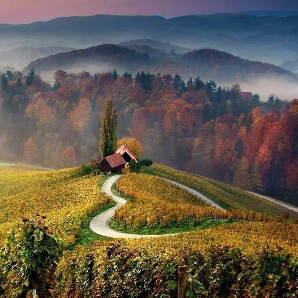 Счастье пейзаж