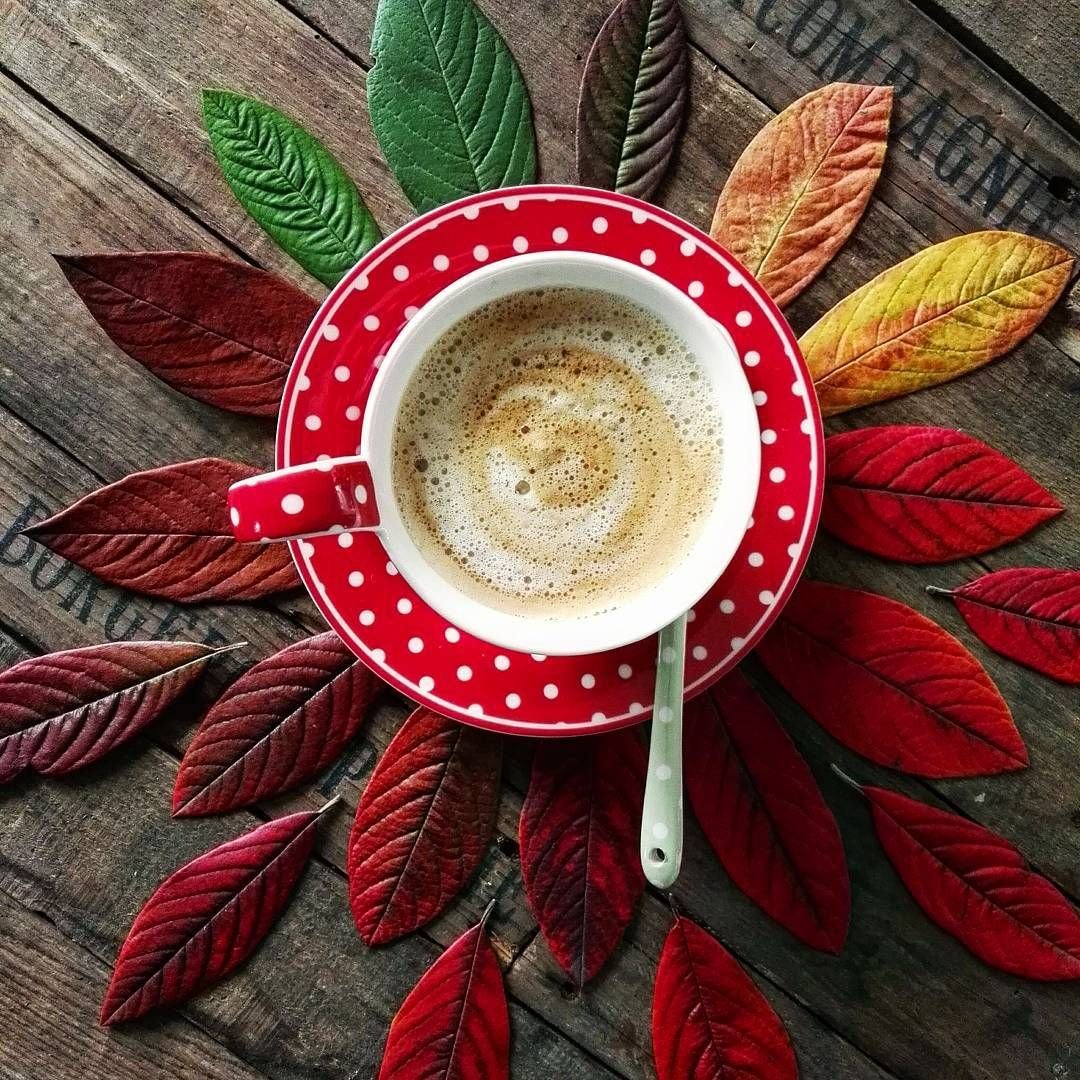 Чашка чая арт