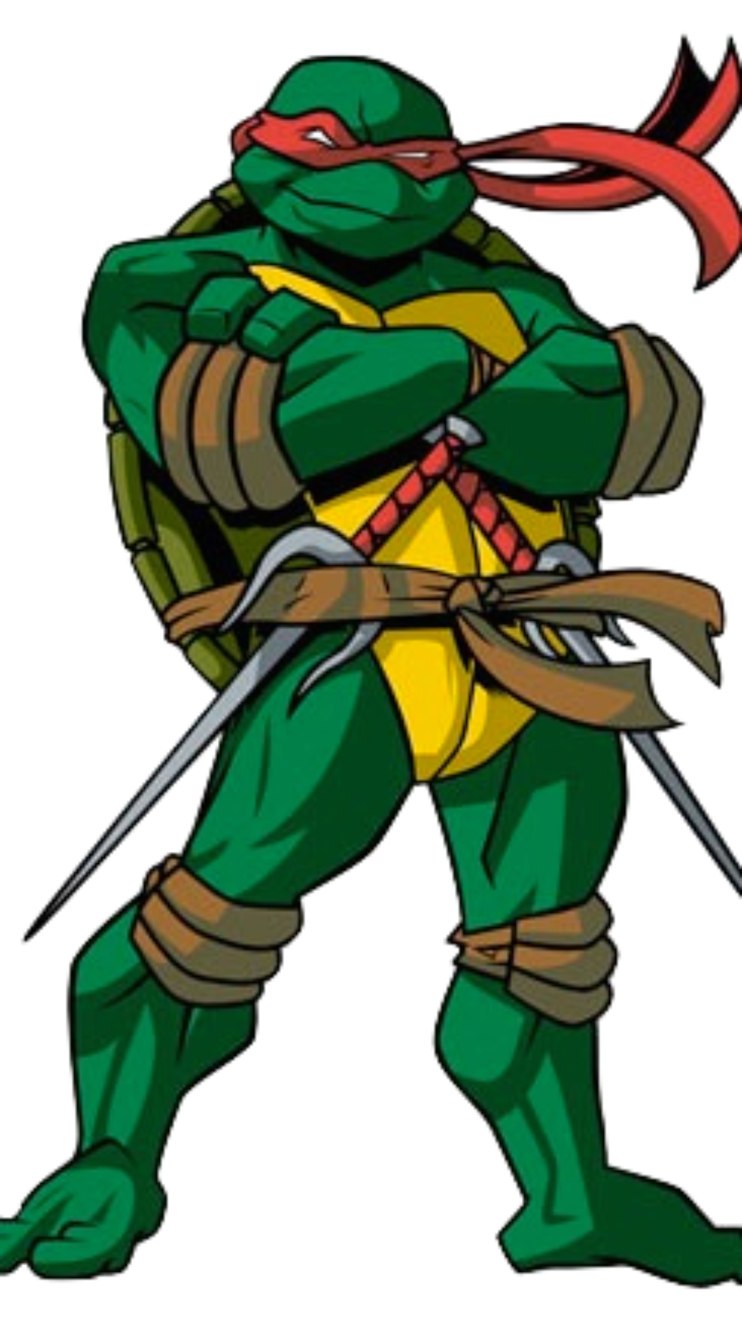 TMNT 2003 Raphael
